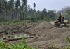 Pengerukan Sungai di Kecamatan Tapalang Barat Kembali Terjadi : Warga Labuang Rano Cemas Kebun Kelapa Longsor Lagi