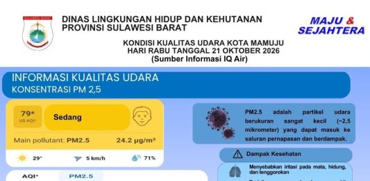 DLHK Sulbar Sampaikan Informasi Kualitas Udara Mamuju, AQI 79 Berada pada Kategori Sedang