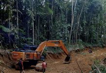 Pemdes Bela Genjot Sektor Pertanian, Jalan Tani Dibuka untuk Perkuat Akses Petani