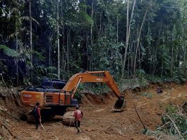 Pemdes Bela Genjot Sektor Pertanian, Jalan Tani Dibuka untuk Perkuat Akses Petani