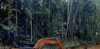 Pemdes Bela Genjot Sektor Pertanian, Jalan Tani Dibuka untuk Perkuat Akses Petani