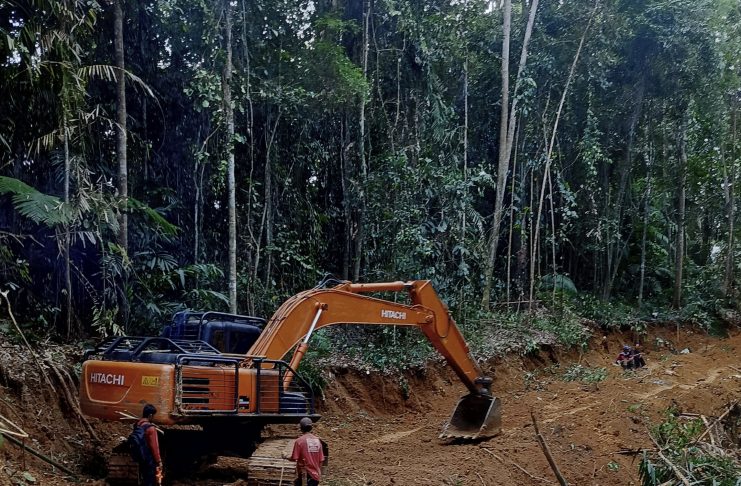 Pemdes Bela Genjot Sektor Pertanian, Jalan Tani Dibuka untuk Perkuat Akses Petani