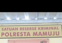 Mantan Napi Pencurian Kembali Berurusan dengan Polisi, Diduga Gasak Uang Rp2 Juta dan HP Pasien RS Regional Mamuju